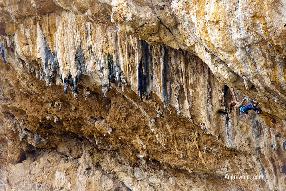 Whitney Boland на маршруте All Cats Are Black at Night (7b/5.12b),