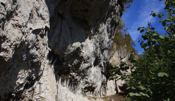 сектор Holzgauerhaus, Frankenjura