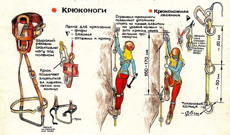 Крюконоги