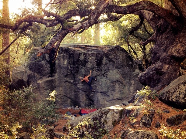 Крис Шарма (Chris Sharma) 