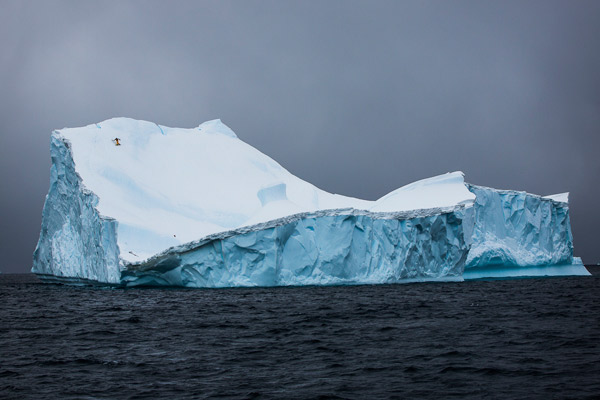 «ICEBERG» TERO REPO, Швейцария