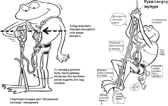 Стиль подъема по веревке: «лягушка»