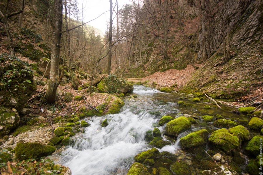 Вошли в каньон Стандартно-крымской реки (не помню названия), красиво, забыл уже этот прекрасный вид, запах, и звуки. Май. Только без людей.