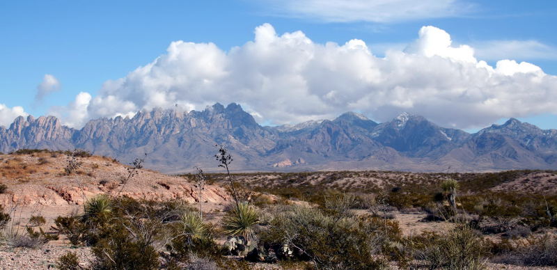 Горы Орган (Organ Mountains)