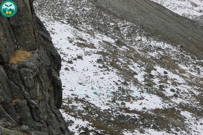 Треккинг к Пику Корона (Crown Peak (5513 м)