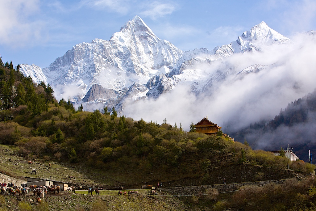 Siguniang shan 6250 m., Changpingqiao, Sichuan.