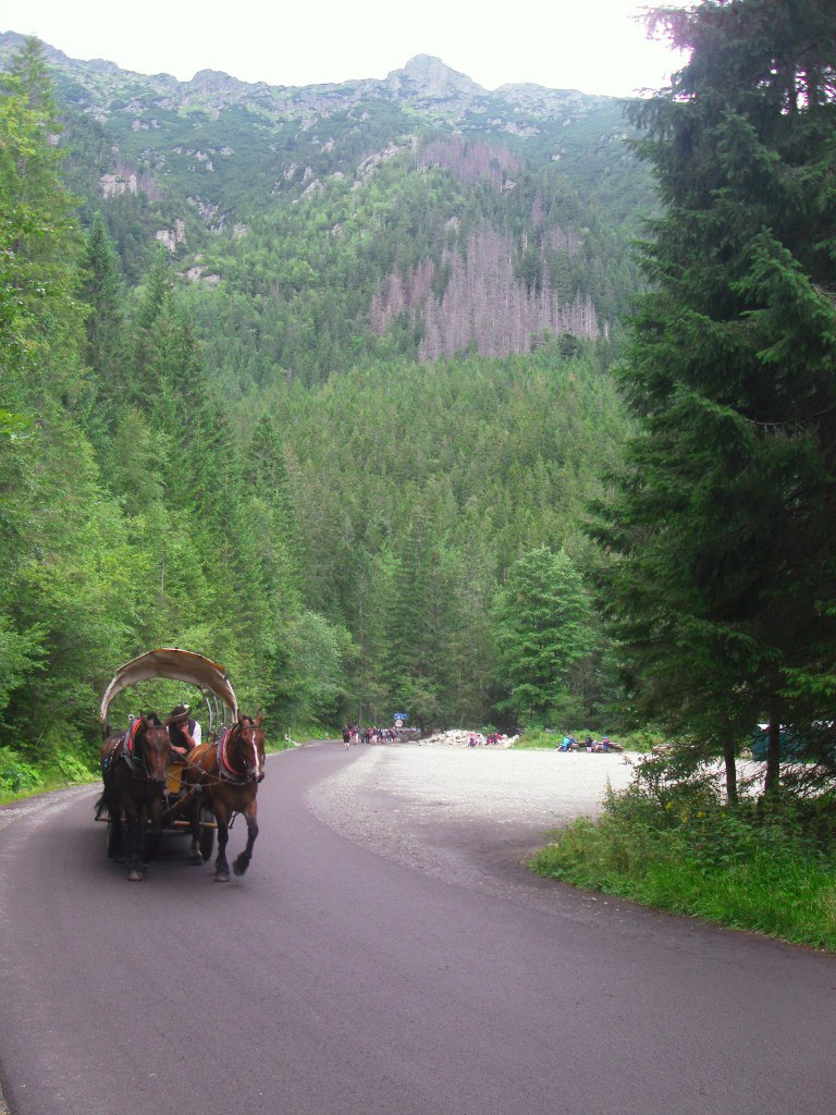 Альпінізм в Татрах