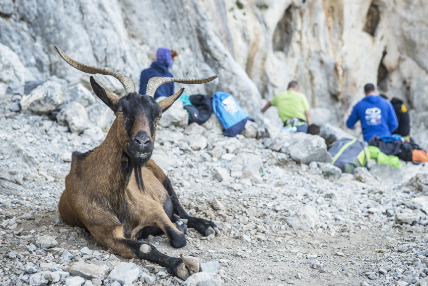 Kalymnos Climbing Festival 2014