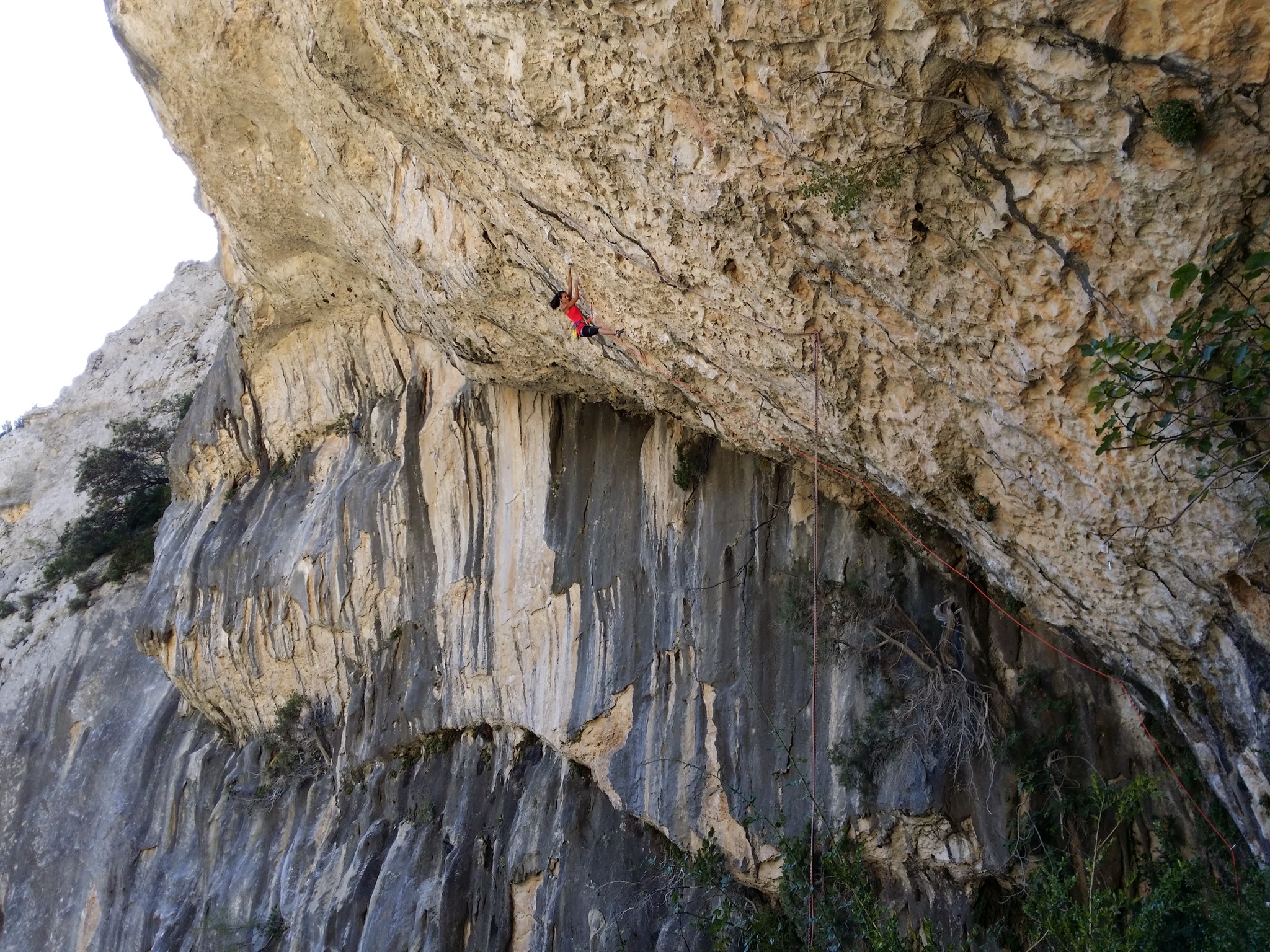 Мариета Акалски (Marieta Akalski) на маршруте "Florida" (5.14b / 8с)