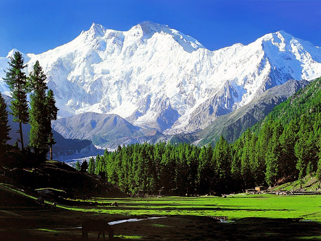 Нанга Парбат (Nanga Parbat, 8126 м) - девятый по высоте восьмитысячник мира 