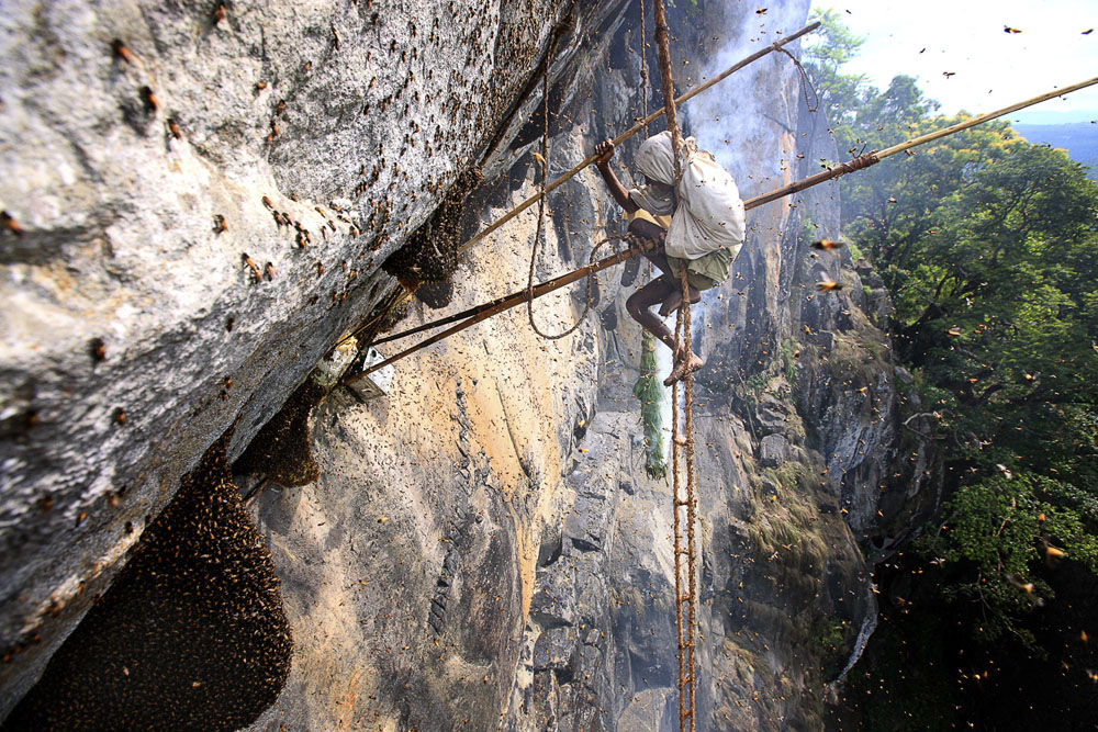 MAN IN THE MOUNTAIN-NATURE. 25th MARIA LUISA MEMORIAL