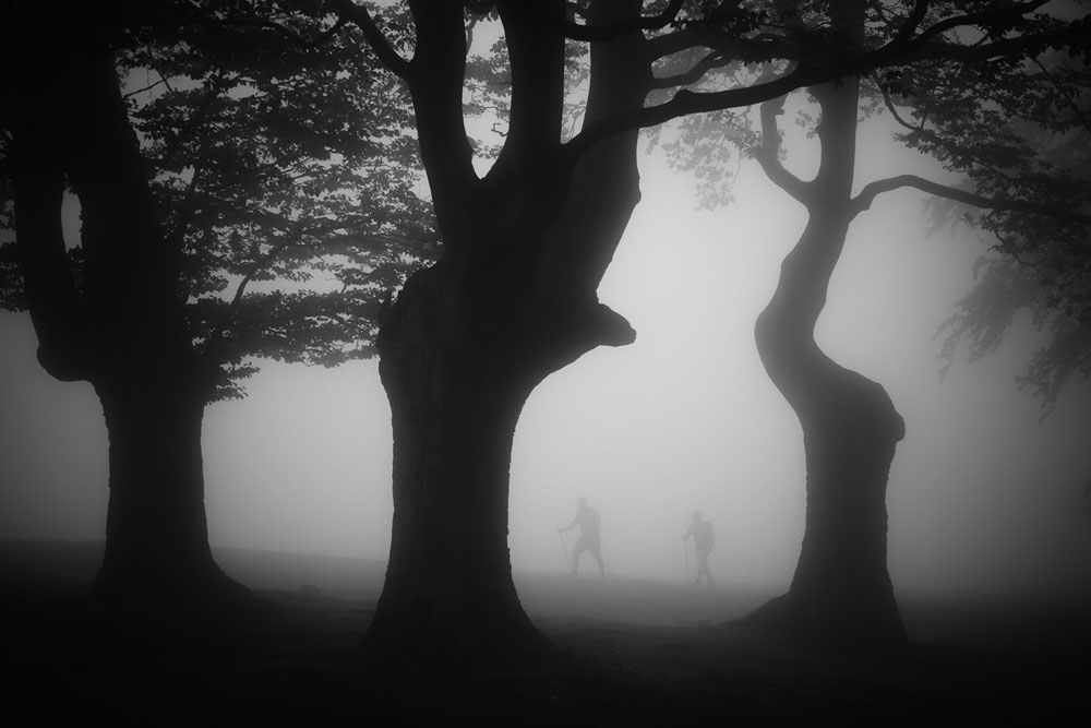 MAN IN THE MOUNTAIN-NATURE. 25th MARIA LUISA MEMORIAL