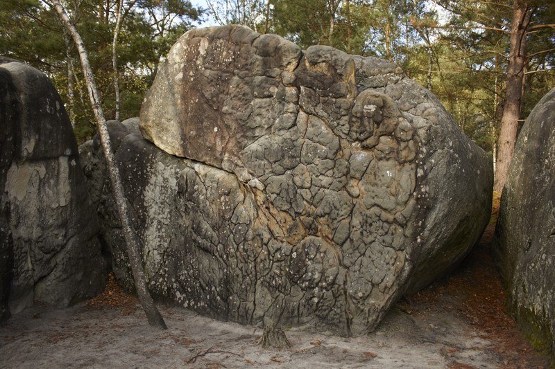 Фонтенбло (Fontainebleau) 