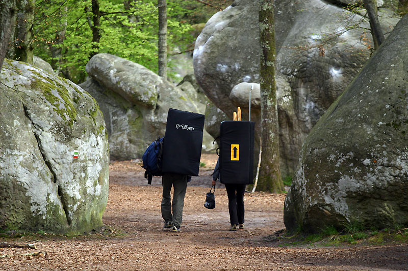 Фонтенбло (Fontainebleau) 