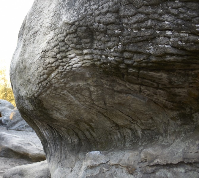 Фонтенбло (Fontainebleau) 