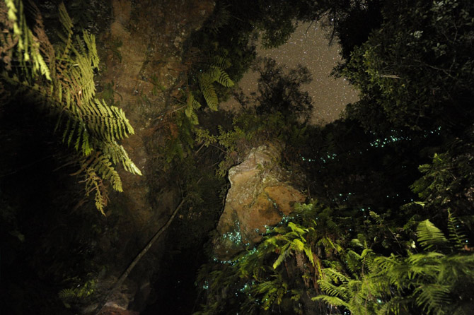 Монастырский каньон (Claustral Canyon) в Австралии