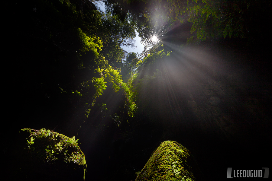 Монастырский каньон (Claustral Canyon) в Австралии