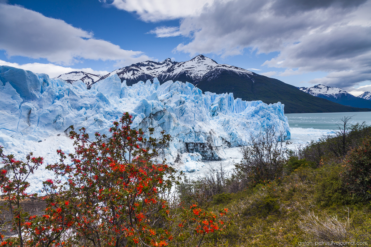 Перито Морено (Perito Moreno)