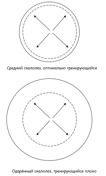 Рис. 1.3 Генетический потенциал (сплошная линия) по отношению к реальным способностям (пунктирная линия). Кто лучше работает?