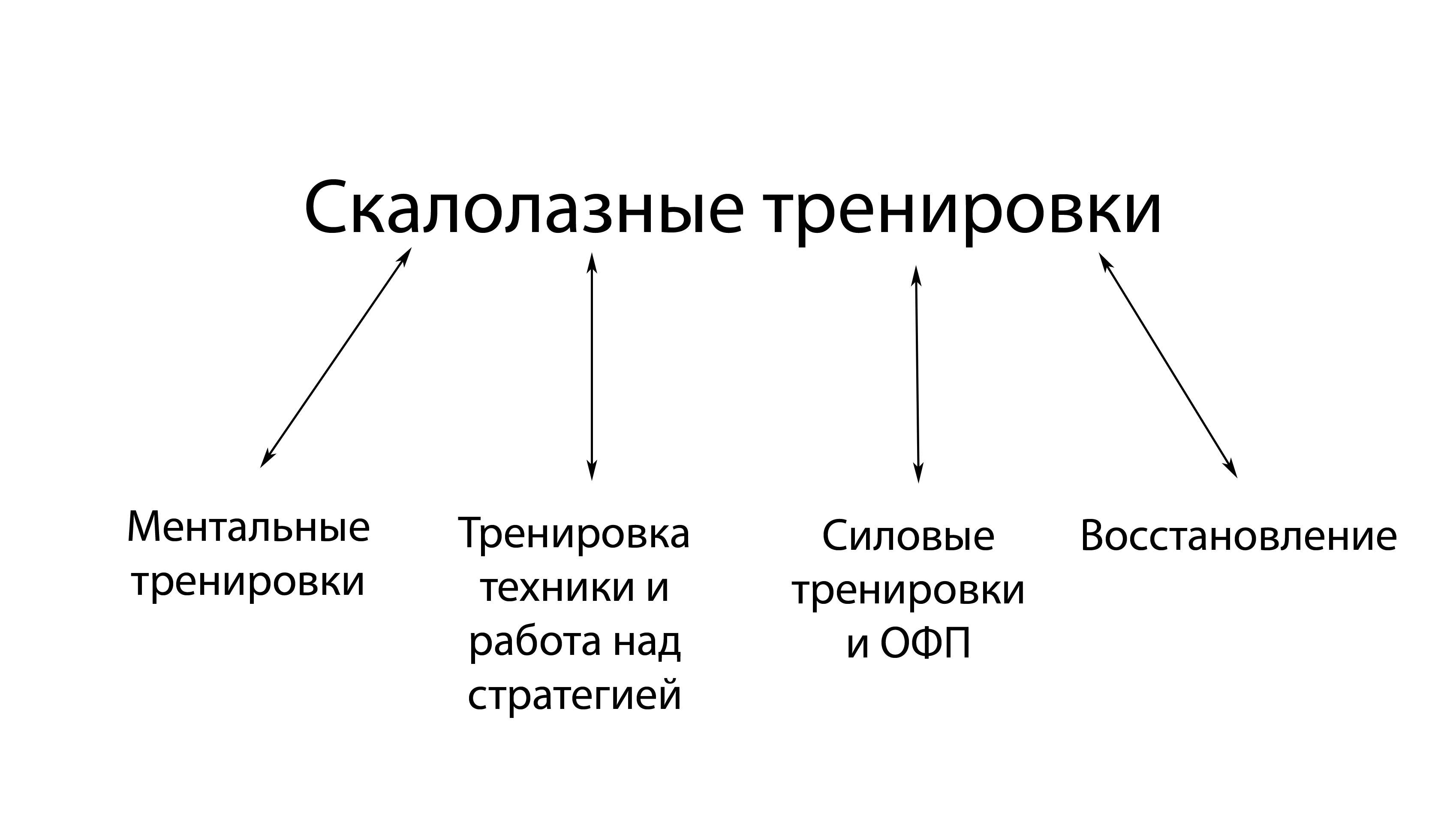 Рис. 1.4 Подтипы тренировок