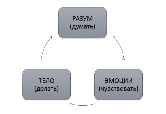 Рис. 3.1 Как нами управляют эмоции