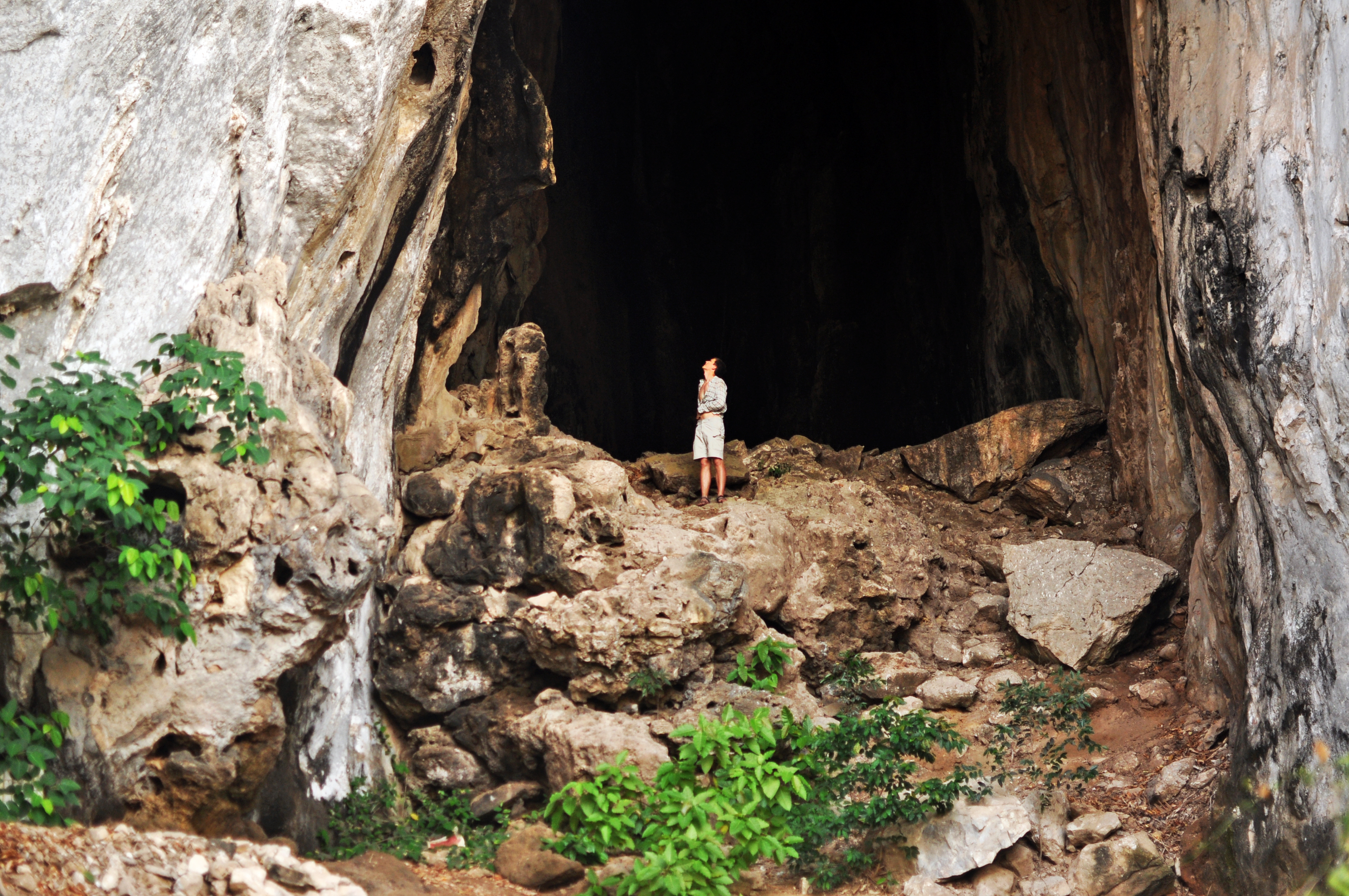 сектор Bat Cave