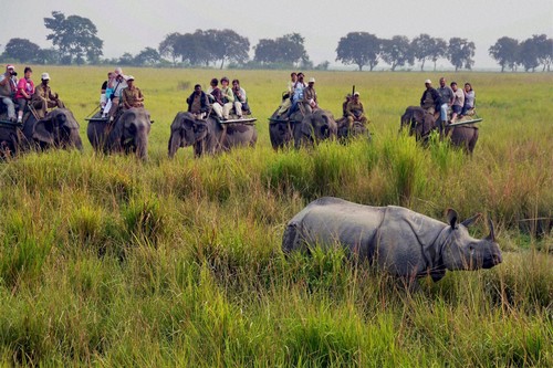 Флора и фауна Национального парка Канченджанга (Khangchendzonga National Park) 