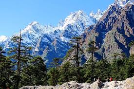 Флора и фауна Национального парка Канченджанга (Khangchendzonga National Park) 