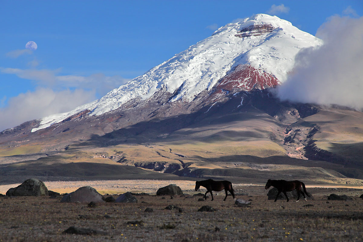 Котопахи (Cotopaxi) 