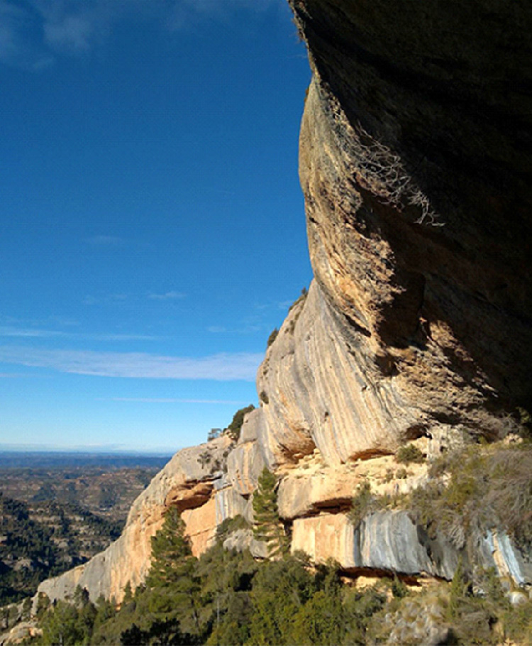 Сектор Cabernet, Margalef, photo by Roman Batsenko 