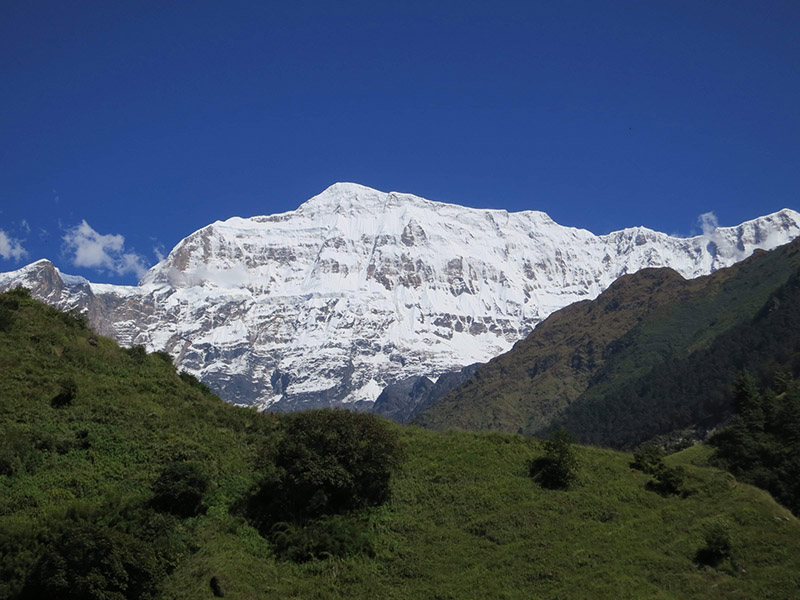 Южная стена горы Гурджа (Gurja Himal), октябрь 2013. Фото Damien Gildea