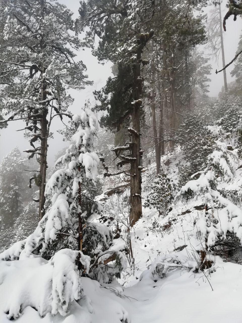 Фото Віталій Дячук