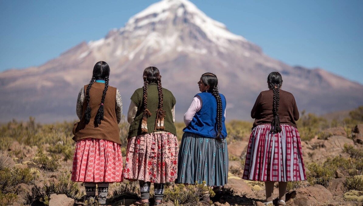 Чолитас (Cholitas)