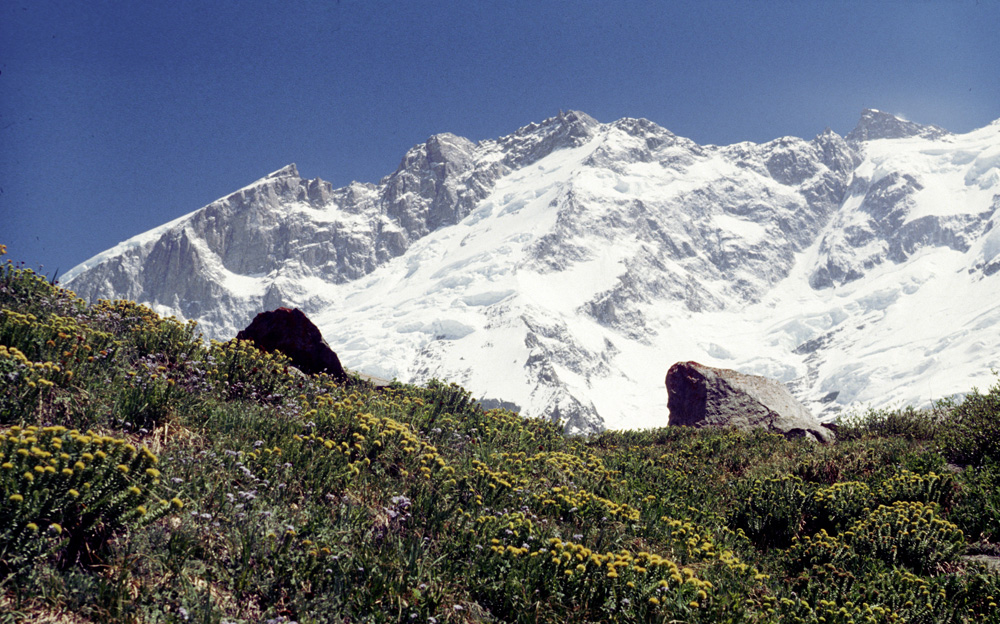 пик Батура Сар ( Batura Peak / Batura Sar). Фото Paweł Kubalski