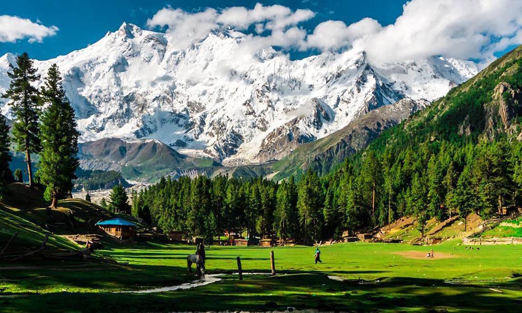 Fairy Meadows