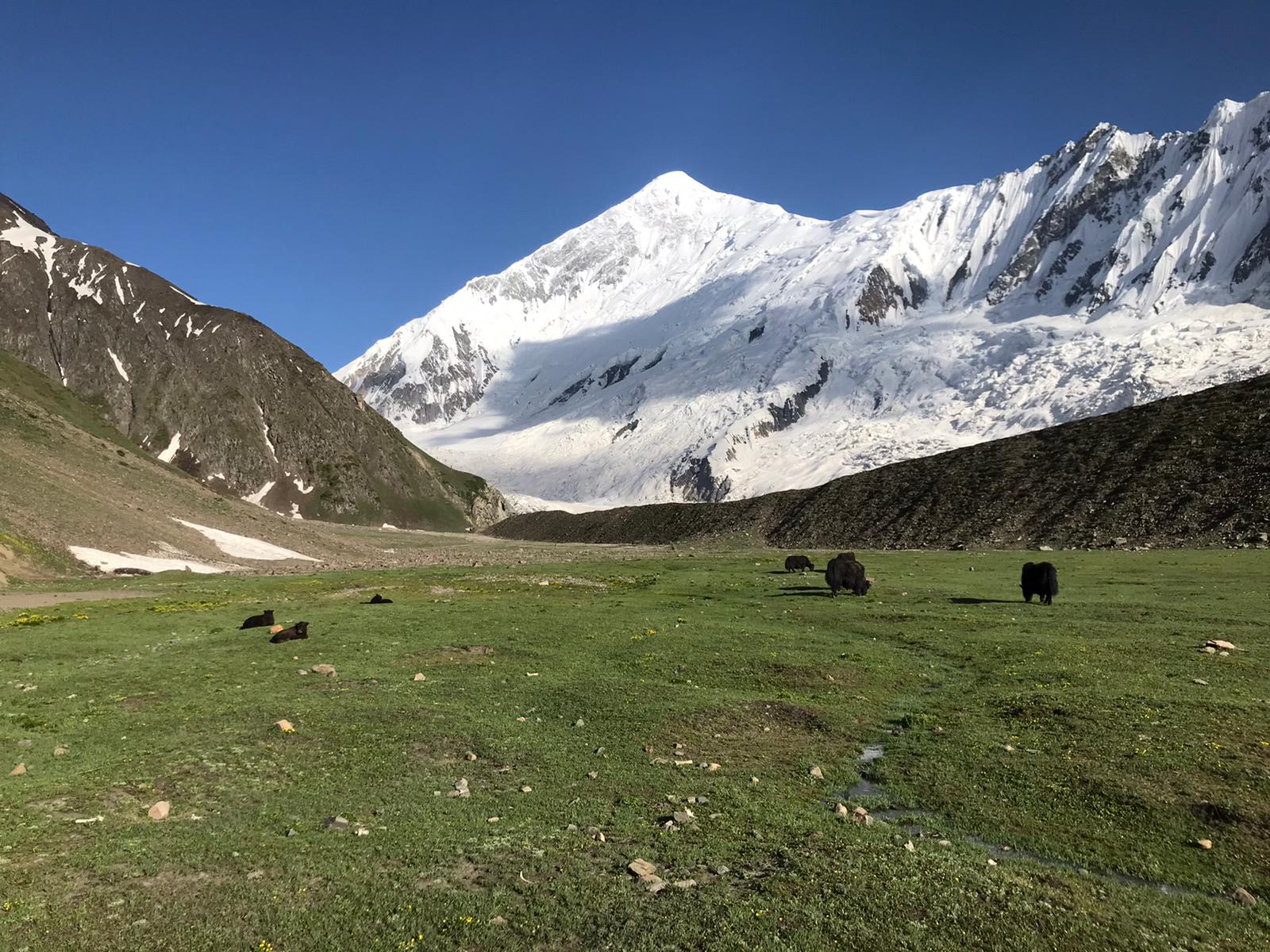 пик Диран (Diran Peak, 7266 метров), белая пирамида, возвышающаяся над зелеными лугами. Фотография: Helias Millerioux