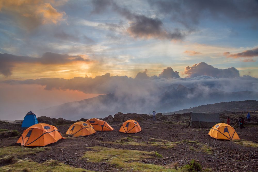 путь к Килиманджаро. Фото national-parks . org