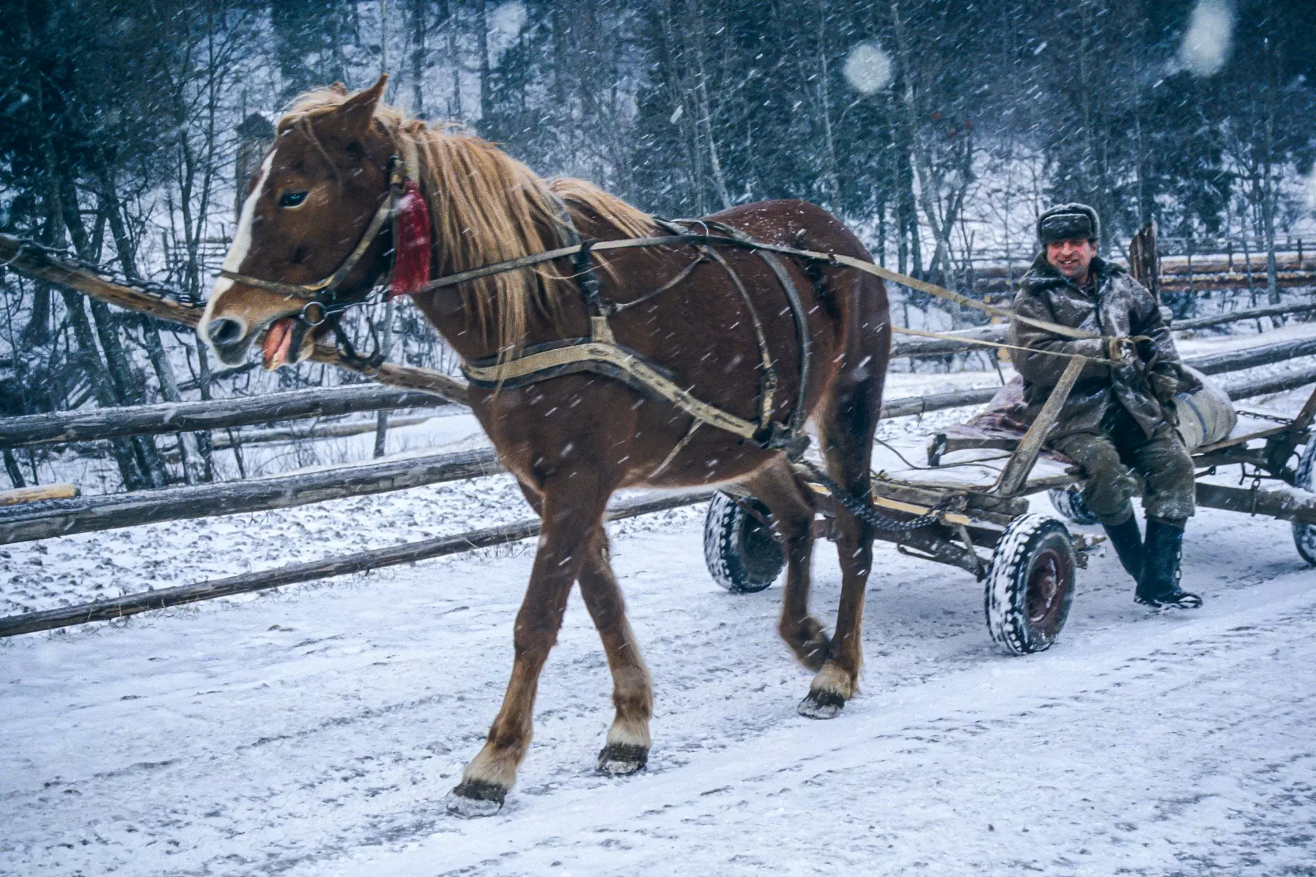 Повсякденне життя України, лютий 1993 року. Фото Claude Gardien