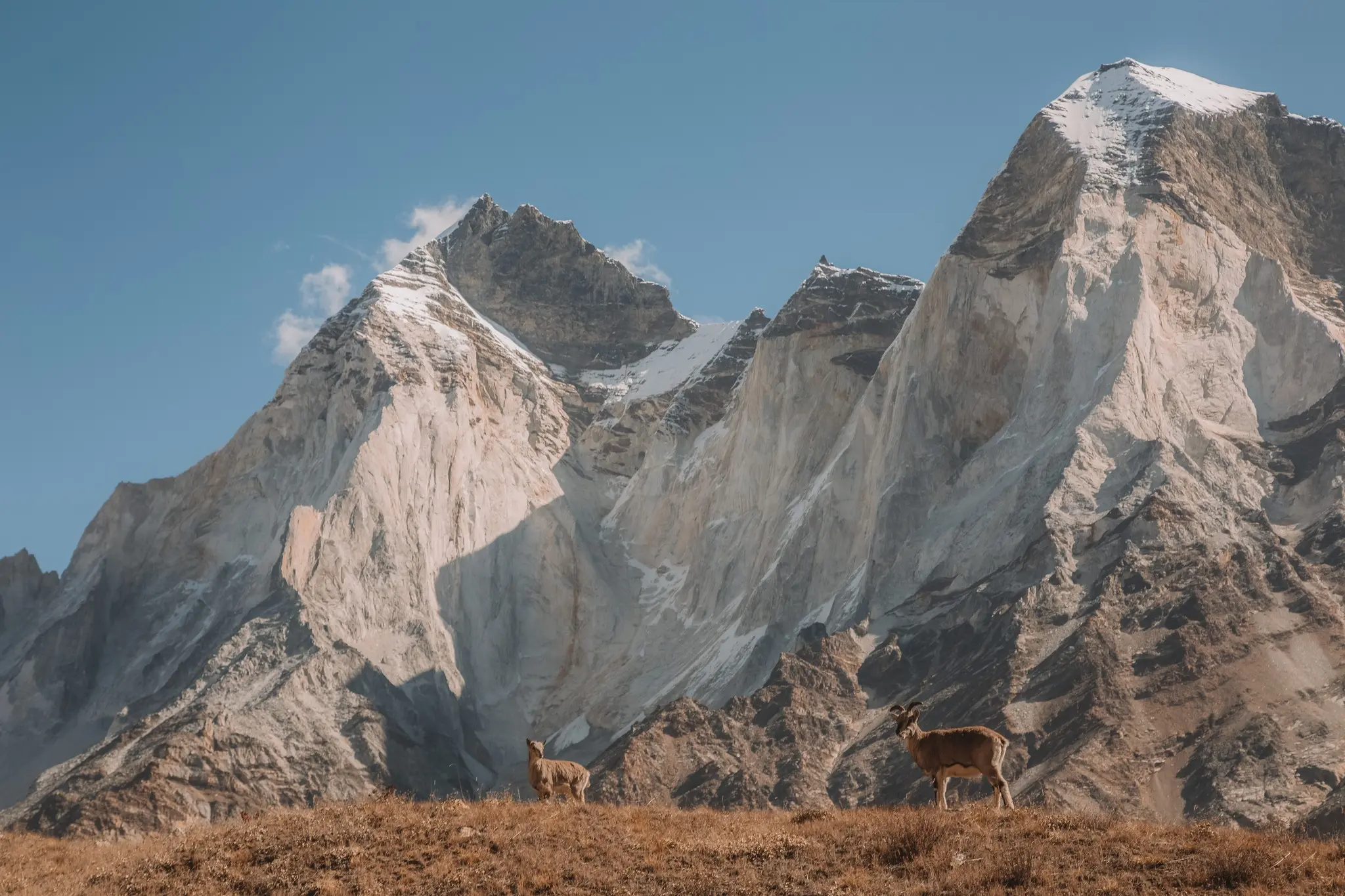 Гірський масив Бхагіратхі (Bhagirathi). Фото Andrzej Życzkowski