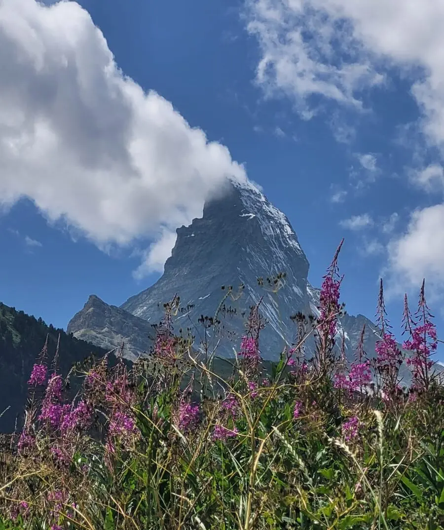 Маттергорн (Matterhorn, 4478 метрів). Фото Angela Benavides